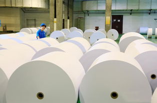 国内纸企纷纷布局原料基地 晨鸣纸业率先实现浆纸产能完全匹配